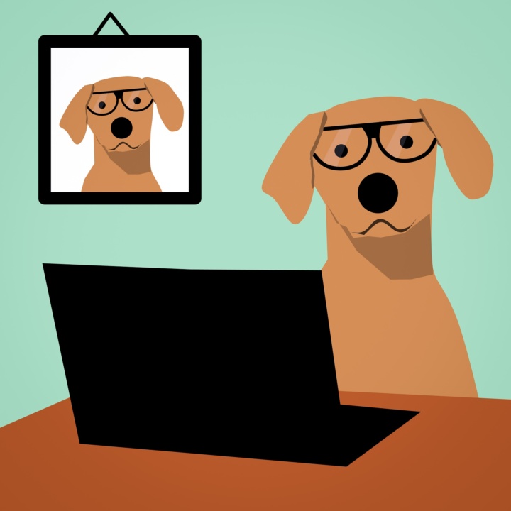 dog_in_front_computer